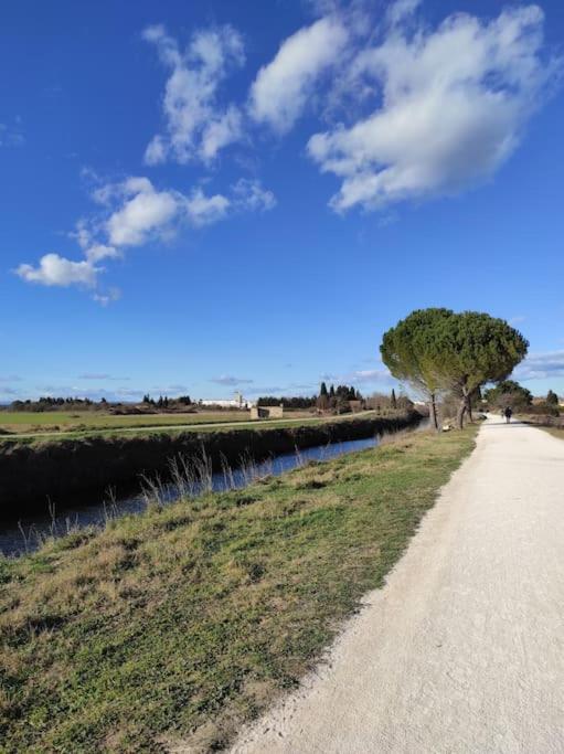 Mobil-Home Dans Un Beau Cadre A 15 Km Des Plages. Lunel (Herault) Exterior foto
